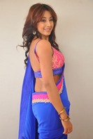 Sanjana Spicy Saree Photos